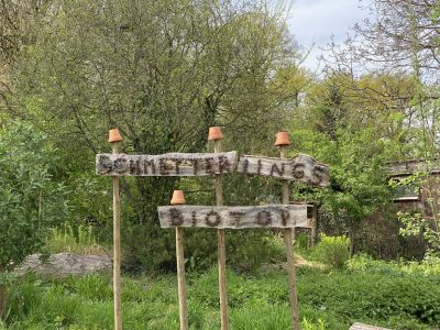 Schmetterlingsbiotop
