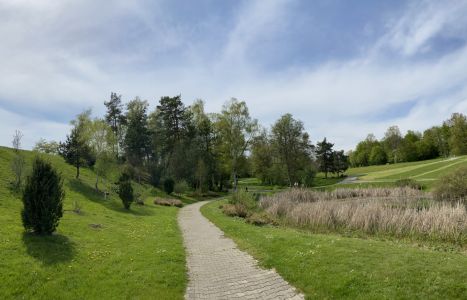 Nacheiszeitliche Waldentwicklung