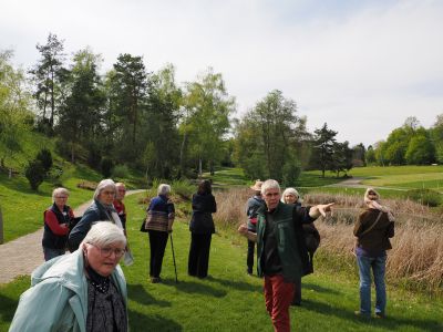 Nacheiszeitliche Waldentwicklung im Bergland